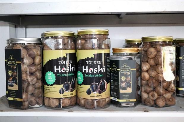 Phát triển kinh tế từ sản phẩm tỏi đen theo công nghệ Nhật Bản ở huyện Yên Châu hình ảnh 7 Phat trien kinh te tu san pham toi den theo cong nghe Nhat Ban o huyen Yen Chau hinh anh 7