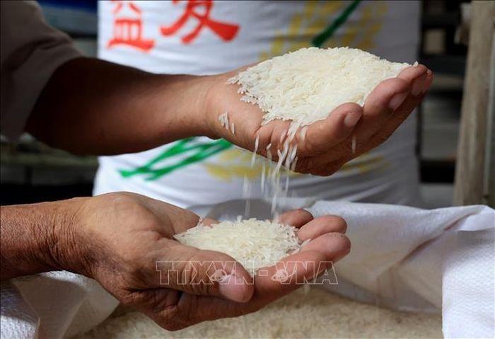 Xu hướng tăng giá trên thị trường gạo có phải là 'biến động kỹ thuật'? - Ảnh 1. Xu hướng tăng giá trên thị trường gạo có phải là 'biến động kỹ thuật'? - Ảnh 1.