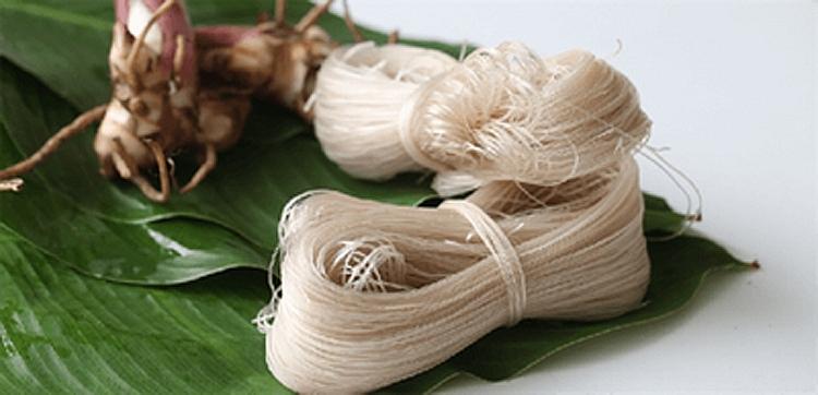 Những nông sản nổi bật 'gây thương nhớ' của tỉnh Bắc Kạn, nhiều người chưa biết loại sản phẩm này - Ảnh 1.