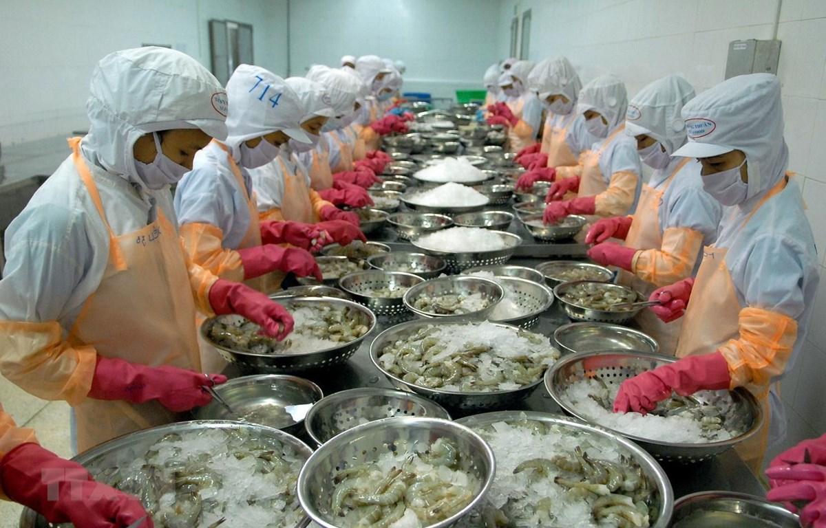 Trung Quốc, Mỹ mua nhiều tôm nhất của Việt Nam, xuất khẩu thủy sản "bứt tốc" cuối năm - Ảnh 1. Trung Quốc, Mỹ mua nhiều tôm nhất của Việt Nam, xuất khẩu thủy sản "bứt tốc" cuối năm - Ảnh 1.