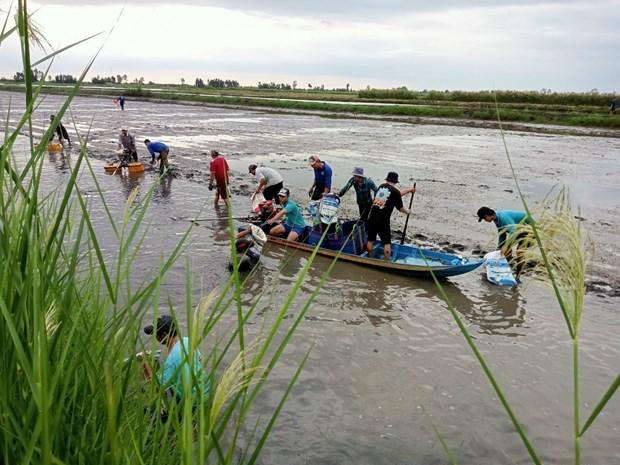Phát triển bền vững Đồng bằng sông Cửu Long: Thuận thiên để thích ứng (Bài cuối) hình ảnh 2 Phat trien ben vung Dong bang song Cuu Long: Thuan thien de thich ung (Bai cuoi) hinh anh 2