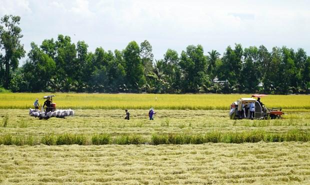 Phát triển bền vững Đồng bằng sông Cửu Long: Thuận thiên để thích ứng (Bài cuối) hình ảnh 1 Phat trien ben vung Dong bang song Cuu Long: Thuan thien de thich ung (Bai cuoi) hinh anh 1