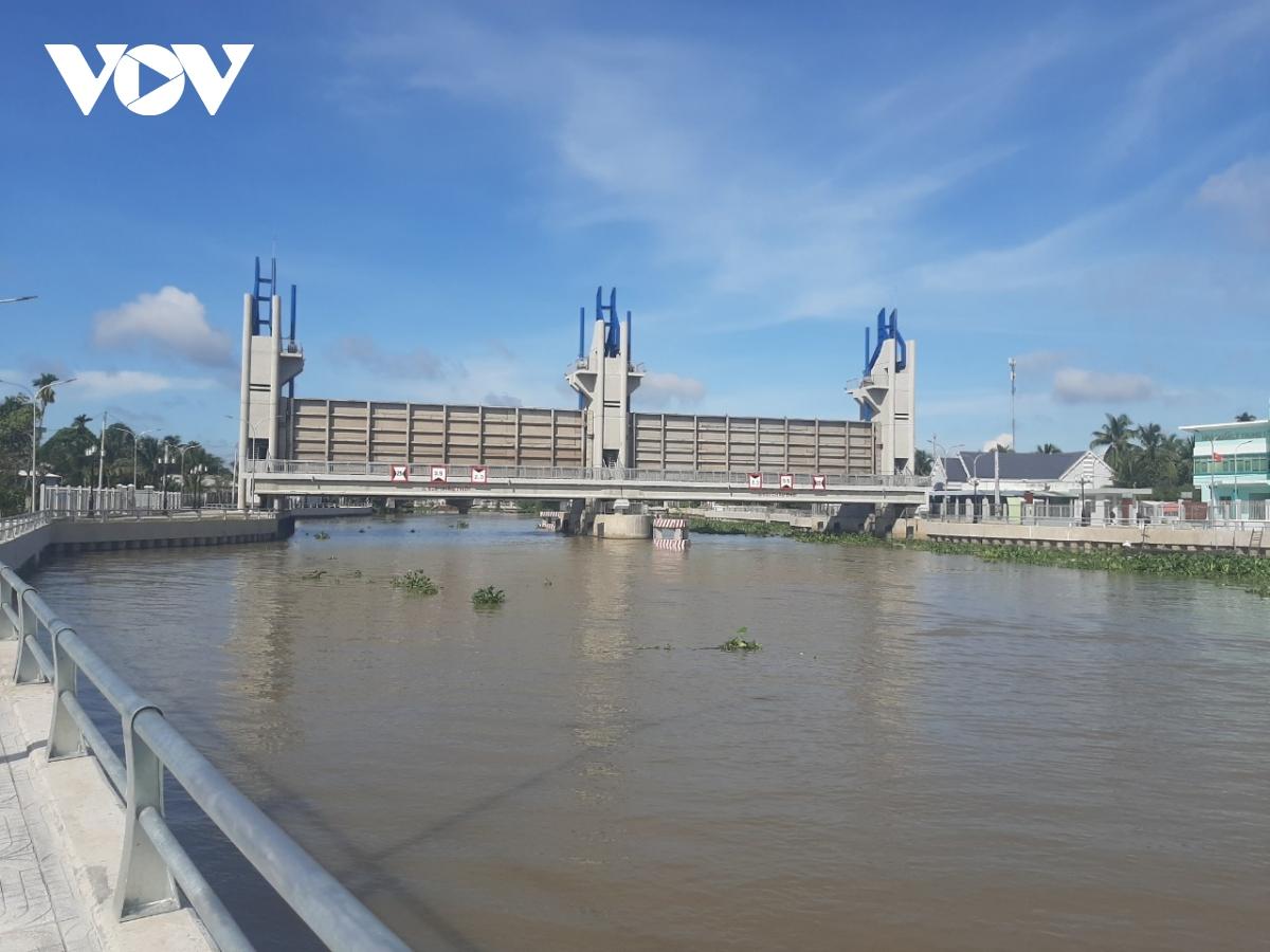 Sầu riêng rất mẫn cảm với nước mặn, tỉnh này đang lo bảo vệ vườn - Ảnh 2. Sầu riêng rất mẫn cảm với nước mặn, tỉnh này đang lo bảo vệ vườn - Ảnh 2.