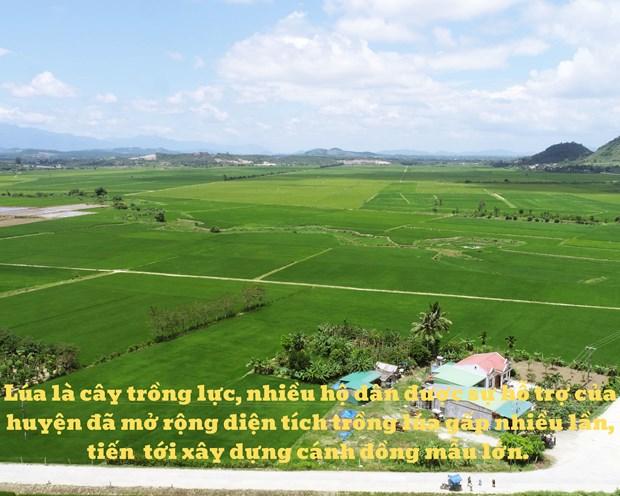 Đắk Lắk phát triển nông sản chủ lực nâng cao đời sống nhân dân hình ảnh 4 Dak Lak phat trien nong san chu luc nang cao doi song nhan dan hinh anh 4