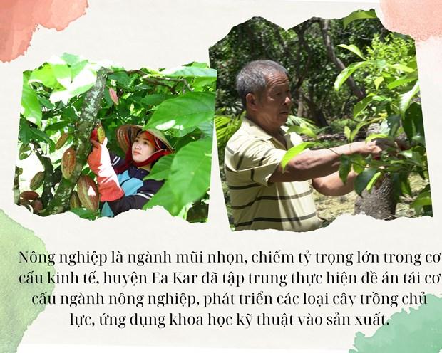 Đắk Lắk phát triển nông sản chủ lực nâng cao đời sống nhân dân hình ảnh 1 Dak Lak phat trien nong san chu luc nang cao doi song nhan dan hinh anh 1