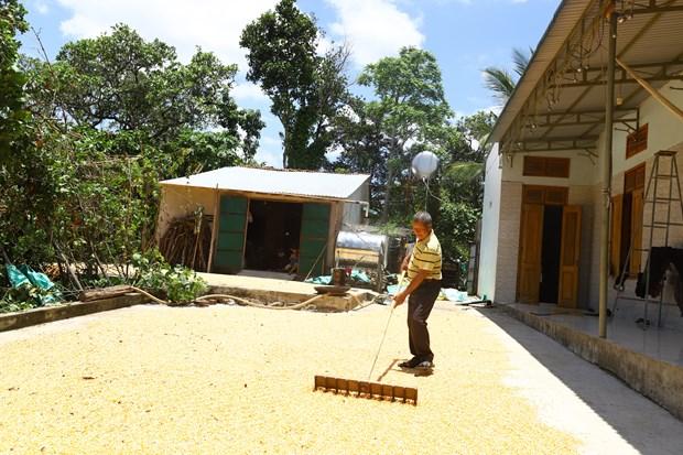 Đắk Lắk phát triển nông sản chủ lực nâng cao đời sống nhân dân hình ảnh 14 Dak Lak phat trien nong san chu luc nang cao doi song nhan dan hinh anh 14
