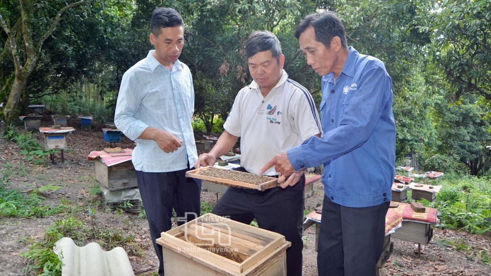Người dân nơi đây nuôi ong dưới tán rừng thế nào mà thu nhập thêm tới hơn 100 triệu đồng/năm - Ảnh 1. Người dân nơi đây nuôi ong dưới tán rừng thế nào mà thu nhập thêm tới hơn 100 triệu đồng/năm - Ảnh 1.