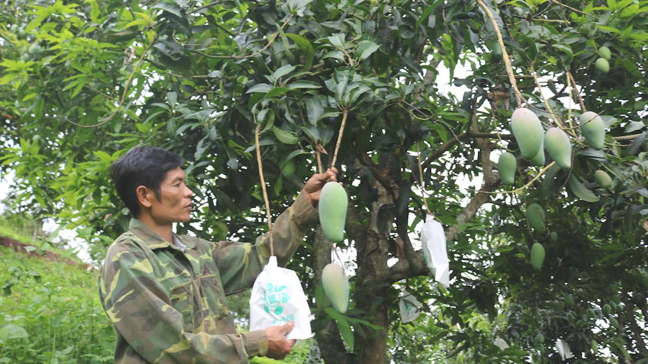 Phát triển các mô hình kinh tế phù hợp, đem lại thu nhập cho hội viên nông dân - Ảnh 5. Phát triển các mô hình kinh tế phù hợp, đem lại thu nhập cho hội viên nông dân - Ảnh 5.