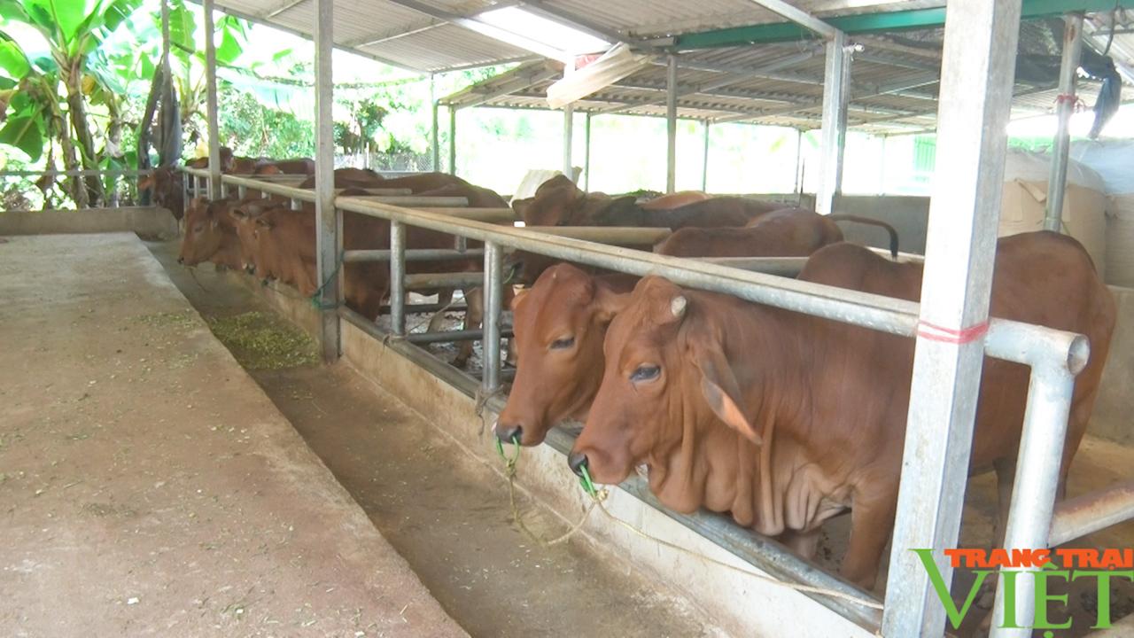 Phát triển các mô hình kinh tế phù hợp, đem lại thu nhập cho hội viên nông dân - Ảnh 6. Phát triển các mô hình kinh tế phù hợp, đem lại thu nhập cho hội viên nông dân - Ảnh 6.