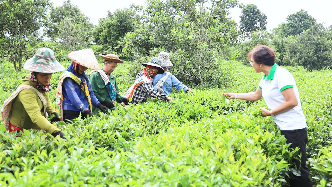 Phát triển các mô hình kinh tế phù hợp, đem lại thu nhập cho hội viên nông dân - Ảnh 3. Phát triển các mô hình kinh tế phù hợp, đem lại thu nhập cho hội viên nông dân - Ảnh 3.
