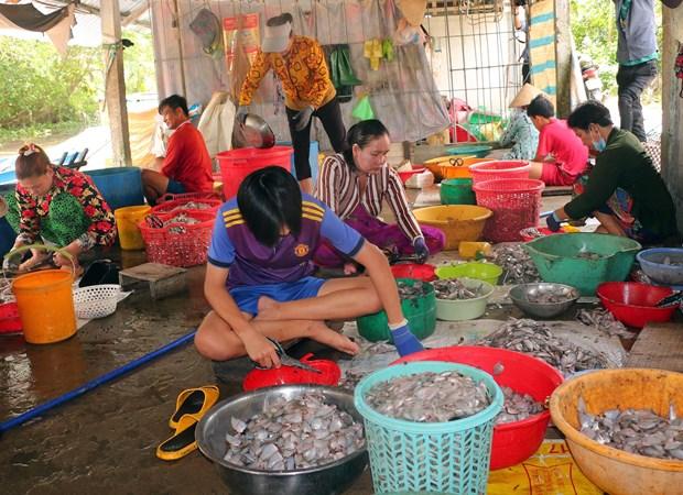 Tăng thu nhập từ mô hình sinh kế mùa nước nổi ở Sóc Trăng hình ảnh 3 Tang thu nhap tu mo hinh sinh ke mua nuoc noi o Soc Trang hinh anh 3