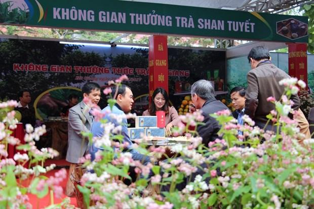 Hà Giang chú trọng quản lý và phát triển chỉ dẫn địa lý “Hà Giang” cho các sản phẩm chè Shan Tuyết hình ảnh 5 Ha Giang chu trong quan ly va phat trien chi dan dia ly “Ha Giang” cho cac san pham che Shan Tuyet hinh anh 5