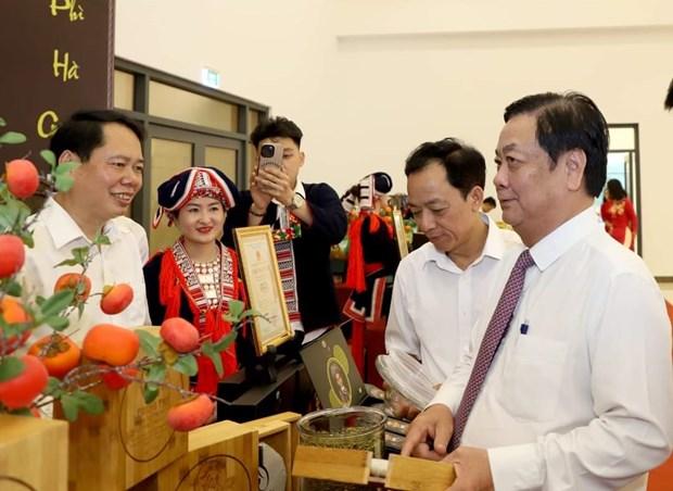Hà Giang chú trọng quản lý và phát triển chỉ dẫn địa lý “Hà Giang” cho các sản phẩm chè Shan Tuyết hình ảnh 4 Ha Giang chu trong quan ly va phat trien chi dan dia ly “Ha Giang” cho cac san pham che Shan Tuyet hinh anh 4
