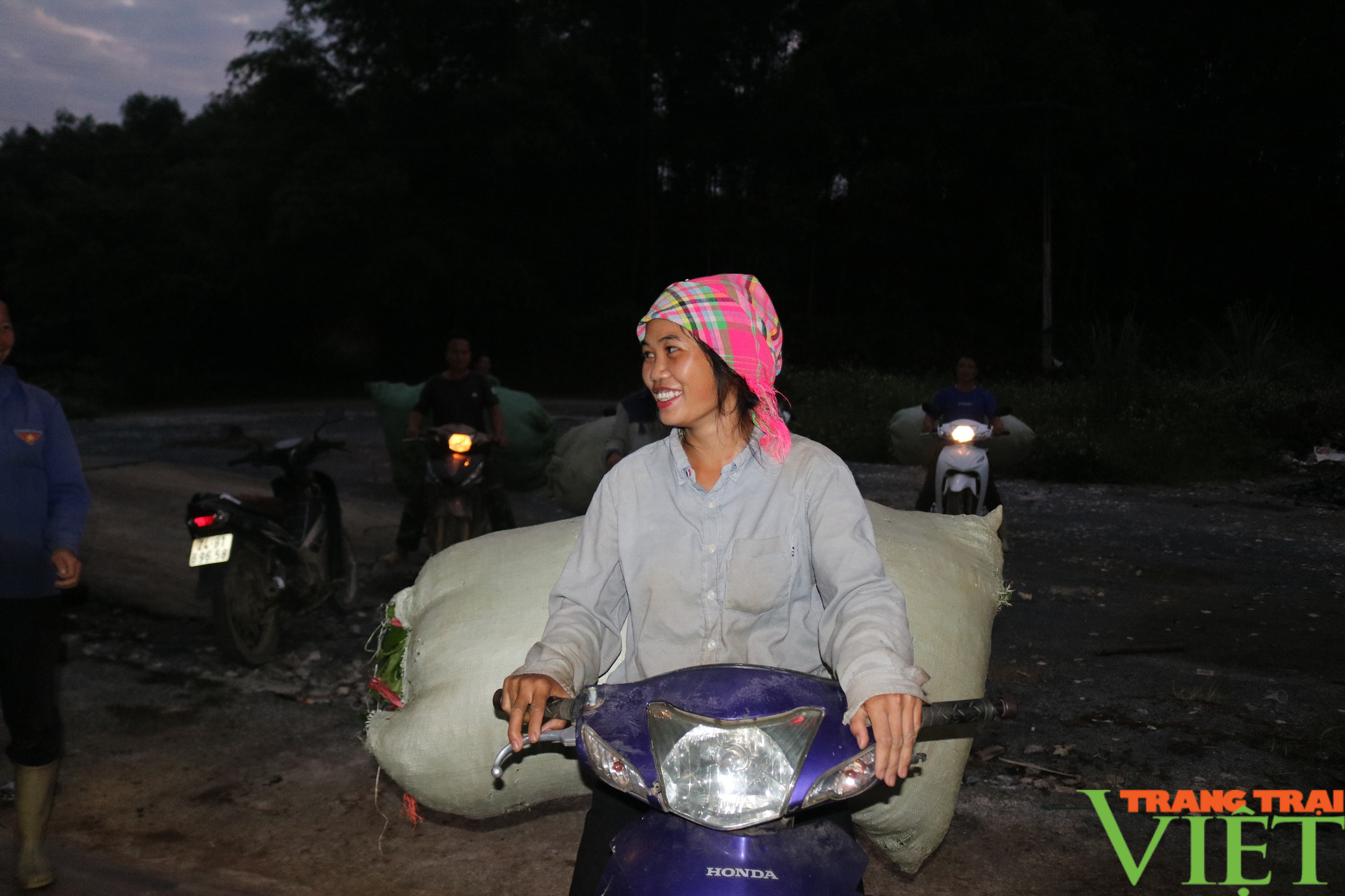 Chè xanh trên đất Mường Khương - Ảnh 3. Chè xanh trên đất Mường Khương - Ảnh 3.