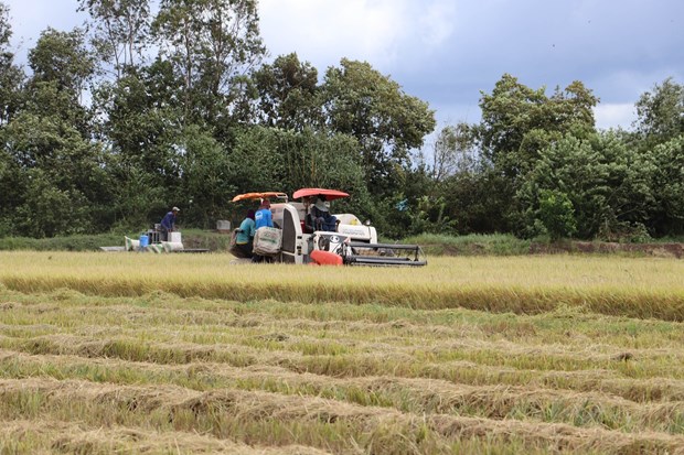 Đổi mới tư duy, nâng cao trình độ canh tác cho nông dân địa bàn khó khăn ở tỉnh Tiền Giang hình ảnh 1 Doi moi tu duy, nang cao trinh do canh tac cho nong dan dia ban kho khan o tinh Tien Giang hinh anh 1