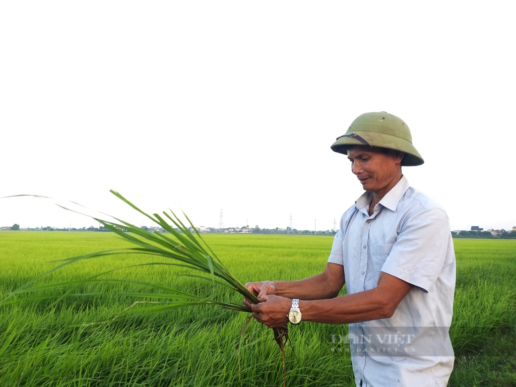 "Góc khuất" chuyển đổi số nông nghiệp: Những "đại điền" chưa thể lái máy bay phun thuốc trừ sâu (Bài 2) - Ảnh 4. "Góc khuất" chuyển đổi số nông nghiệp: Những "đại điền" chưa thể lái máy bay phun thuốc trừ sâu (Bài 2) - Ảnh 4.