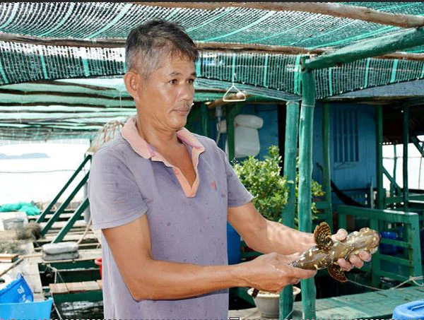 Na Uy tìm kiếm hợp tác nuôi biển với tỉnh Kiên Giang