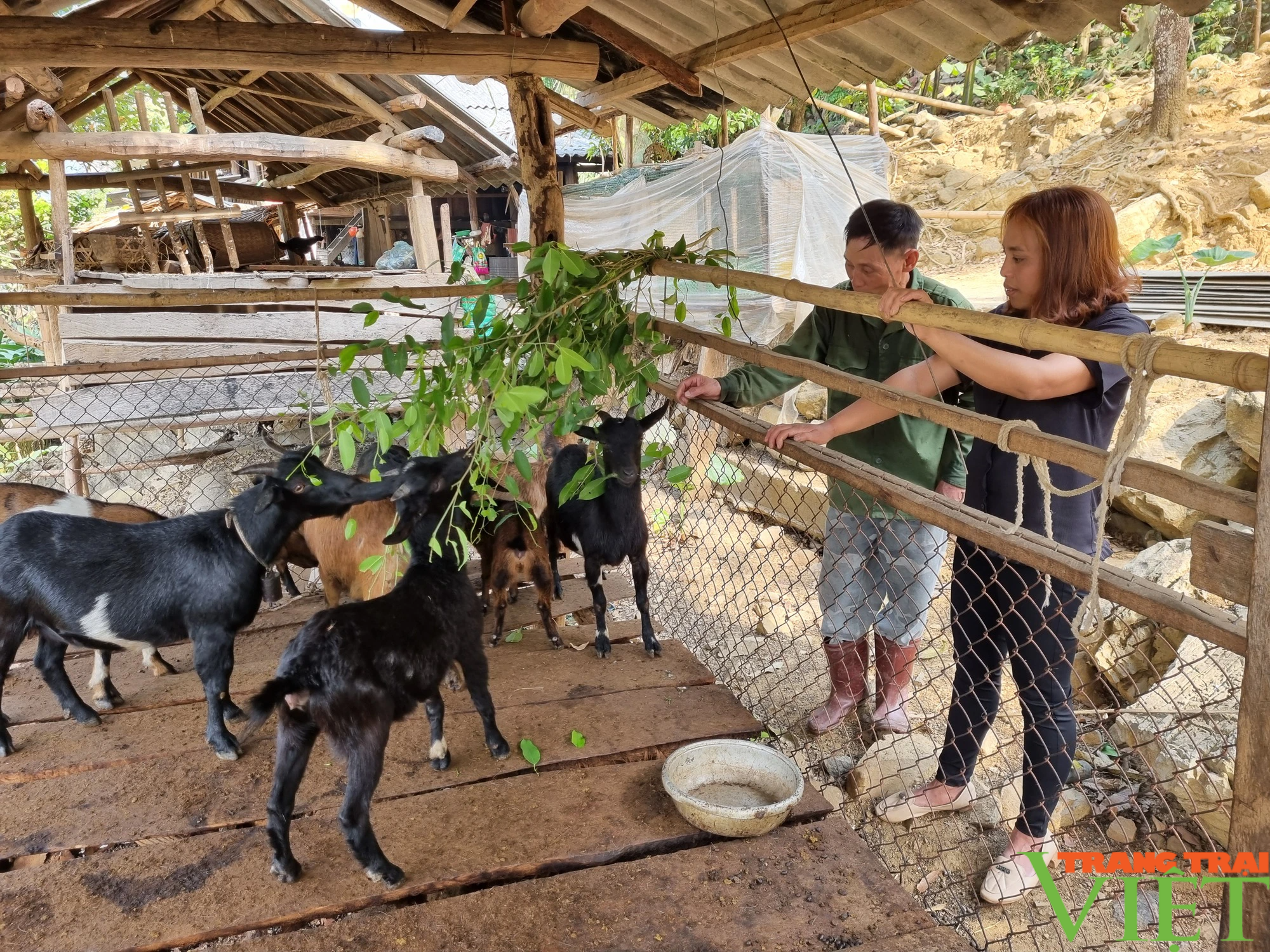 Hòa Bình: Huyện nghèo Đà Bắc khởi sắc nhờ nông thôn mới - Ảnh 2. Hòa Bình: Huyện nghèo Đà Bắc khởi sắc nhờ nông thôn mới - Ảnh 2.