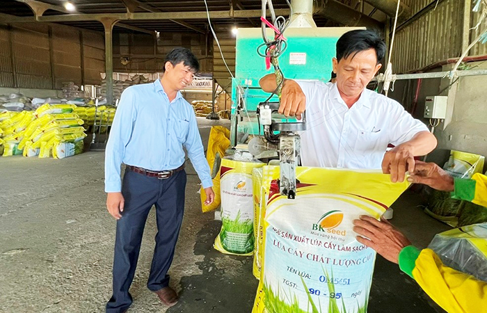 Bứt phá làm giàu