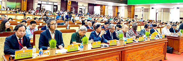 Quan tâm đẩy mạnh ứng dụng khoa học, công nghệ và đổi mới sáng tạo trong ngành lúa gạo
