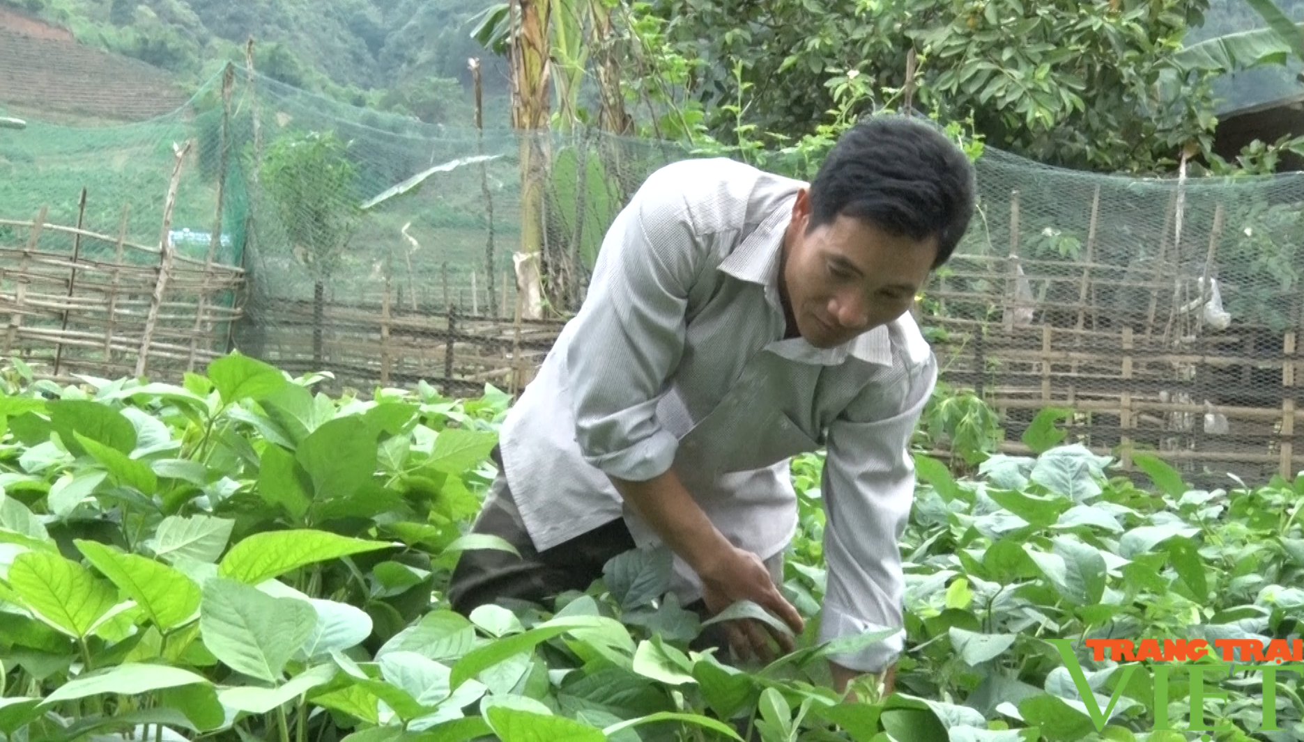 Nông thôn mới ở một xã của Lai Châu, đời sống người dân được nâng cao, bản làng sạch đẹp - Ảnh 5. Nông thôn mới ở một xã của Lai Châu, đời sống người dân được nâng cao, bản làng sạch đẹp - Ảnh 5.