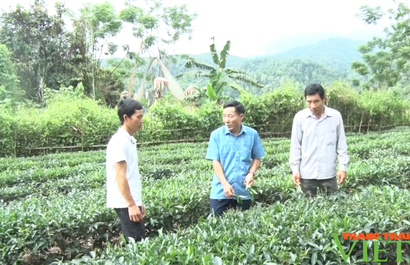 Nông thôn mới ở một xã của Lai Châu, đời sống người dân được nâng cao, bản làng sạch đẹp - Ảnh 2. Nông thôn mới ở một xã của Lai Châu, đời sống người dân được nâng cao, bản làng sạch đẹp - Ảnh 2.