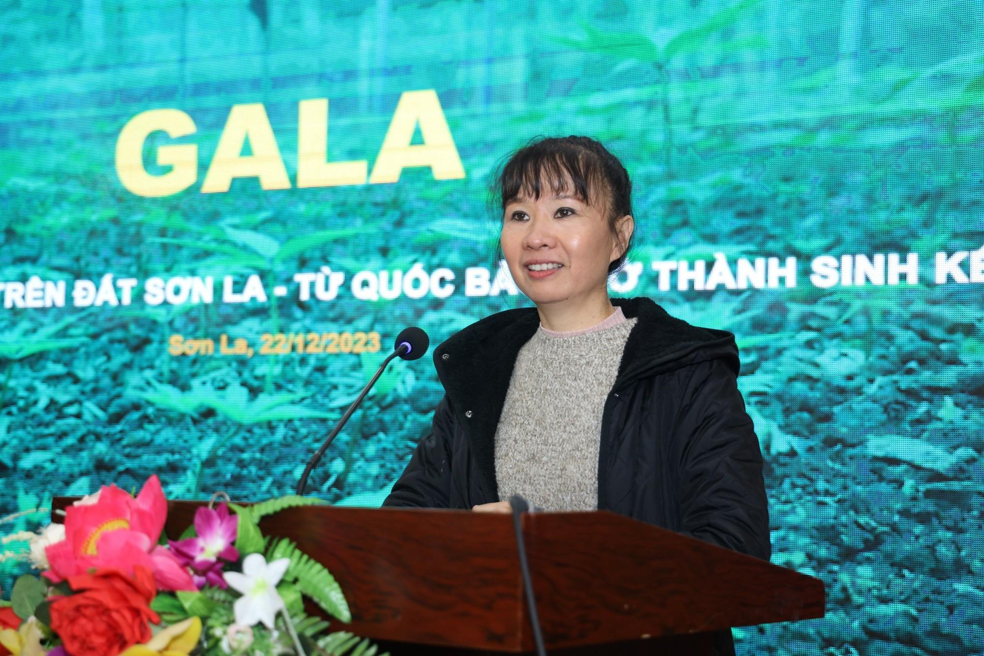 Nhiều giải pháp phát triển Sâm Ngọc Linh trên đất Sơn La - Ảnh 5. Nhiều giải pháp phát triển Sâm Ngọc Linh trên đất Sơn La - Ảnh 5.