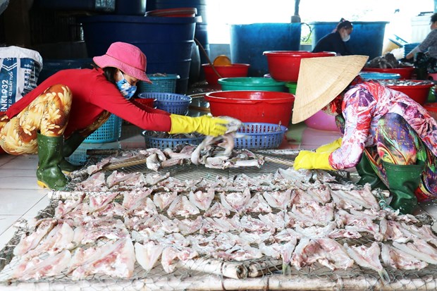 Làng nghề cá khô Vàm Láng nhộn nhịp sản xuất vụ Tết hình ảnh 1 Lang nghe ca kho Vam Lang nhon nhip san xuat vu Tet hinh anh 1