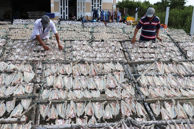 Làng nghề cá khô Vàm Láng nhộn nhịp sản xuất vụ Tết hình ảnh 4 Lang nghe ca kho Vam Lang nhon nhip san xuat vu Tet hinh anh 4