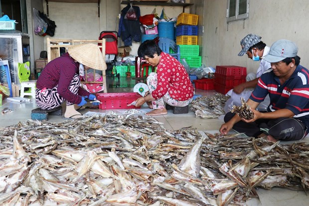 Làng nghề cá khô Vàm Láng nhộn nhịp sản xuất vụ Tết hình ảnh 3 Lang nghe ca kho Vam Lang nhon nhip san xuat vu Tet hinh anh 3
