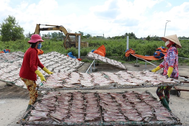 Làng nghề cá khô Vàm Láng nhộn nhịp sản xuất vụ Tết hình ảnh 2 Lang nghe ca kho Vam Lang nhon nhip san xuat vu Tet hinh anh 2