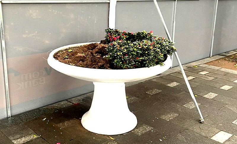 Một ang hoa trang trí bị đào đất nhổ hoa – Ảnh do các cán bộ, công nhân viên Công ty CVCX cung cấp Một ang hoa trang trí bị đào đất nhổ hoa – Ảnh do các cán bộ, công nhân viên Công ty CVCX cung cấp
