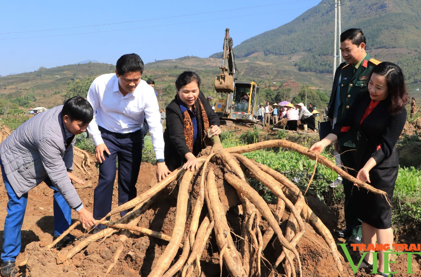 Bí thư Tỉnh ủy Lai Châu Giàng Páo Mỷ kiểm tra hoạt động lao động sản xuất đầu xuân- Ảnh 4. Bí thư Tỉnh ủy Lai Châu Giàng Páo Mỷ kiểm tra hoạt động lao động sản xuất đầu xuân- Ảnh 4.
