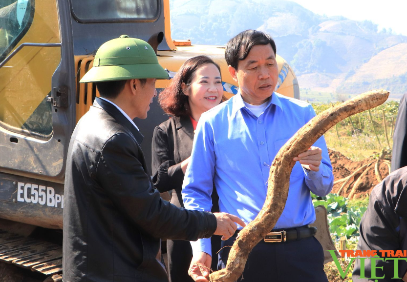 Bí thư Tỉnh ủy Lai Châu Giàng Páo Mỷ kiểm tra hoạt động lao động sản xuất đầu xuân- Ảnh 5. Bí thư Tỉnh ủy Lai Châu Giàng Páo Mỷ kiểm tra hoạt động lao động sản xuất đầu xuân- Ảnh 5.
