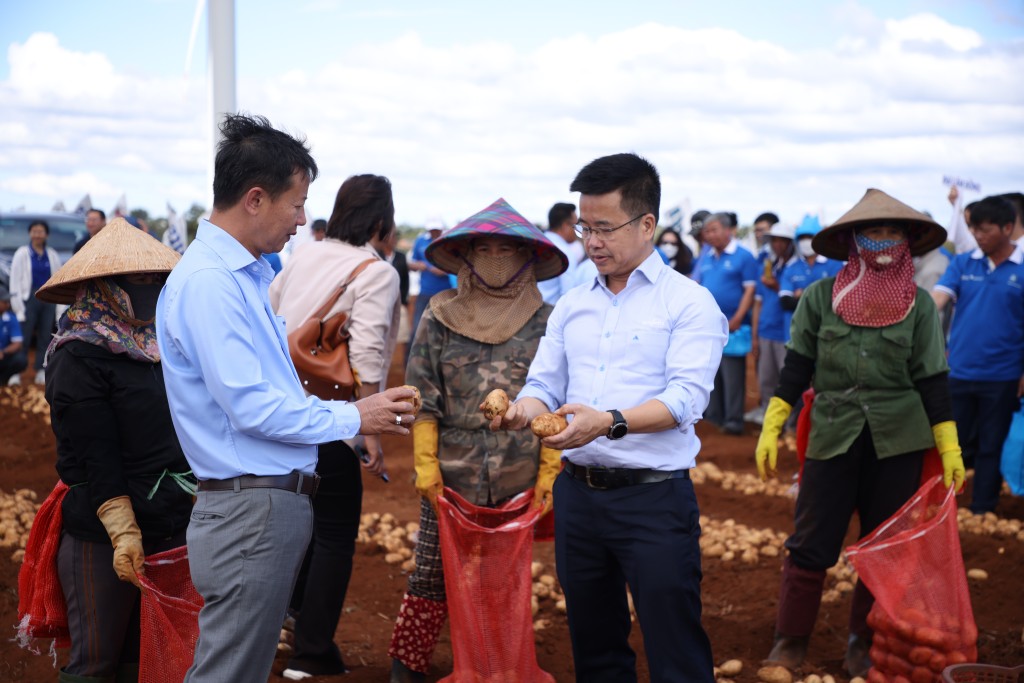 Hình 8 - Các đại biểu dự Ngày hội thu hoạch khoai tây tham quan mô hình Hình 8 - Các đại biểu dự Ngày hội thu hoạch khoai tây tham quan mô hình