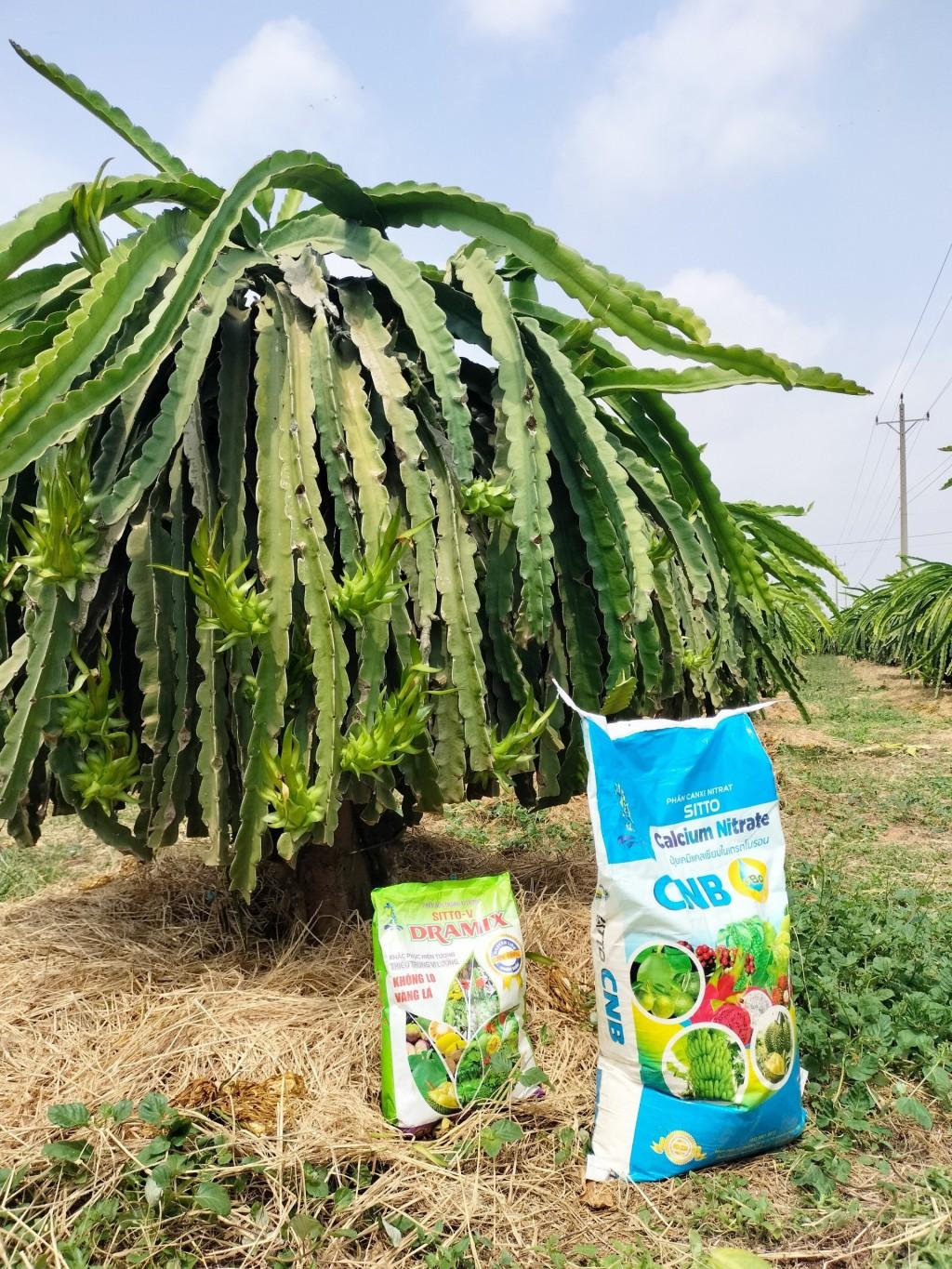 Vai trò, ứng dụng của Calcium, Nitrate, Boron trong sản xuất nông nghiệp Vai trò, ứng dụng của Calcium, Nitrate, Boron trong sản xuất nông nghiệp