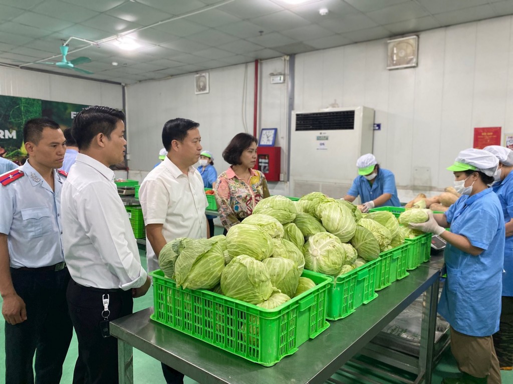 Đoàn kiểm tra số 1 kiểm tra tại Công ty cổ phần Davicorp Việt Nam. Đoàn kiểm tra số 1 kiểm tra tại Công ty cổ phần Davicorp Việt Nam.