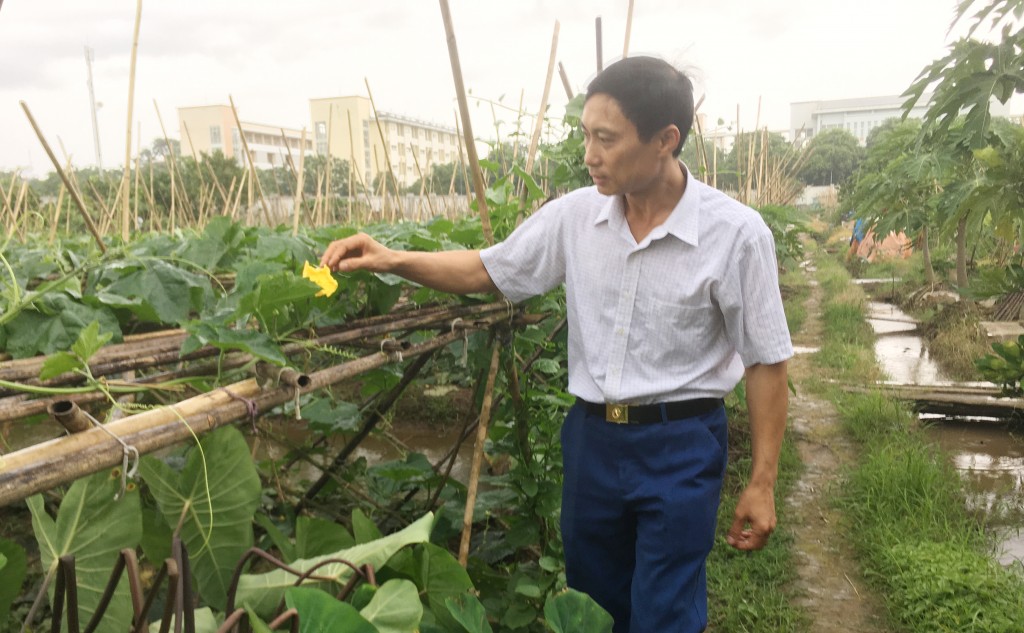 Vân Tảo hòa nhịp đô thị hiện đại, xứng đáng “Cửa ngõ Thủ đô” Vân Tảo hòa nhịp đô thị hiện đại, xứng đáng “Cửa ngõ Thủ đô”