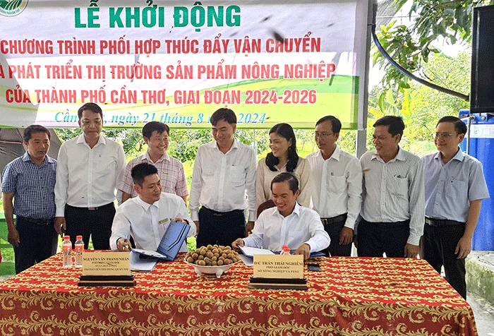 Phối hợp thúc đẩy vận chuyển và phát triển thị trường sản phẩm nông nghiệp của TP Cần Thơ