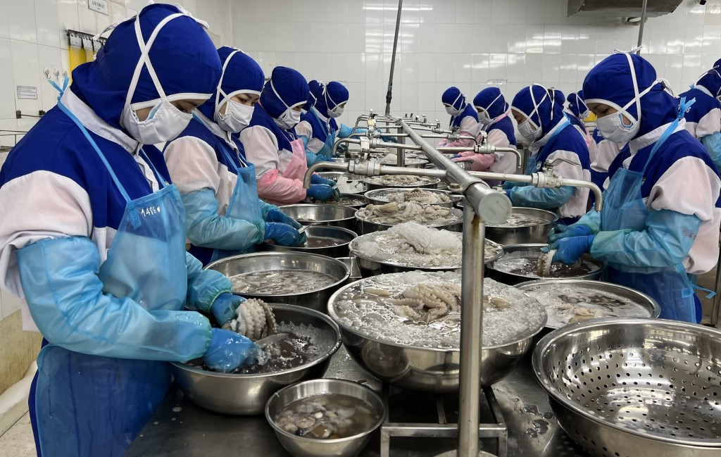 VASEP kiến nghị Tổng cục Thuế xem xét và tháo gỡ cho các doanh nghiệp thủy sản tại Bà Rịa - Vũng Tàu việc Cục Thuế địa phương thực hiện thanh, kiểm tra đồng thời các giấy tờ (giấy phép khai thác…) của tàu cá trong giai đoạn 8 năm trước (2016 - 2017) VASEP kiến nghị Tổng cục Thuế xem xét và tháo gỡ cho các doanh nghiệp thủy sản tại Bà Rịa - Vũng Tàu việc Cục Thuế địa phương thực hiện thanh, kiểm tra đồng thời các giấy tờ (giấy phép khai thác…) của tàu cá trong giai đoạn 8 năm trước (2016 - 2017)