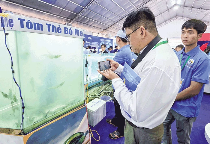 Ngành tôm hướng đến phát triển xanh, bền vững