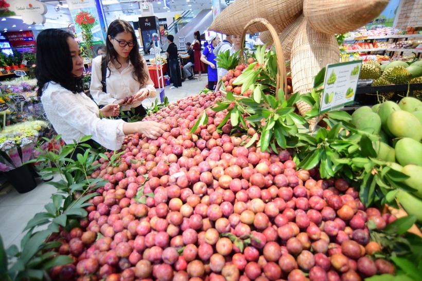 Mận hậu được tiêu thụ tại hệ thống Saigon Coop (Ảnh: VGP)