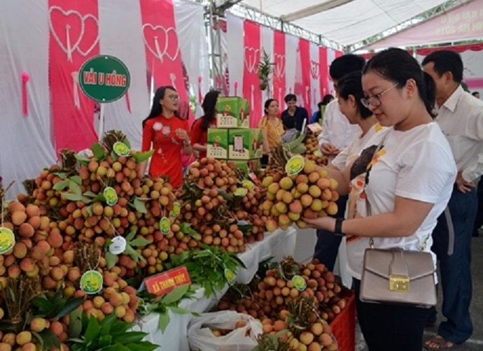 Chương trình Kết nối giao thương Lễ hội trái cây và rau củ tại Singapore 2025 nhằm hỗ trợ doanh nghiệp đẩy mạnh xuất khẩu nông sản. Ảnh minh hoạ