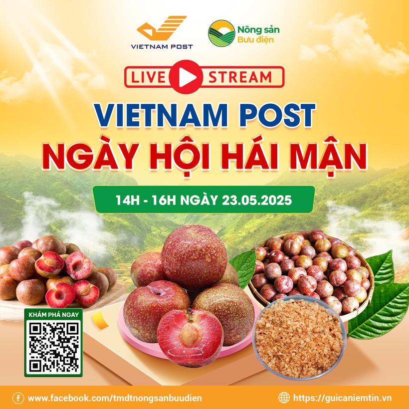 Sở Công Thương Sơn La phối hợp với sàn thương mại điện tử nongsan.buudien.vn tiêu thụ mận Yên Châu (Ảnh: Vietnam Post)