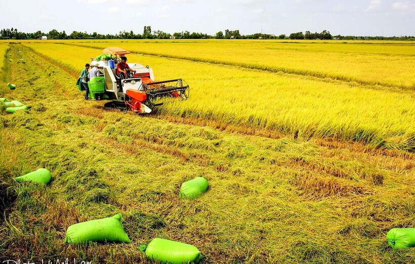 Bộ Công Thương đề nghị mỗi địa phương chỉ nên tiếp cận với 1 hoặc 2 thị trường. Mỗi thị trường cũng chỉ nên giao cho một vài địa phương. Có như vậy mới có thể gắn trách nhiệm của địa phương trong việc chỉ đạo xây dựng thương hiệu và duy trì vị thế sản phẩm.