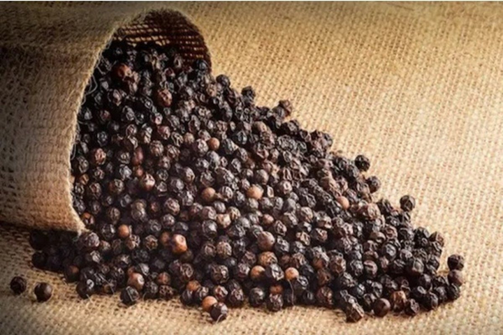 Hồ tiêu được mệnh danh "vàng đen" giúp mang lại thu nhập cao cho bà con dân tộc thiểu số tỉnh Lâm Đồng. Ảnh minh hoạ