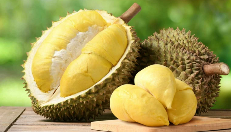 Xuất khẩu sầu riêng đang phục hồi mạnh mẽ. Ảnh minh hoạ
