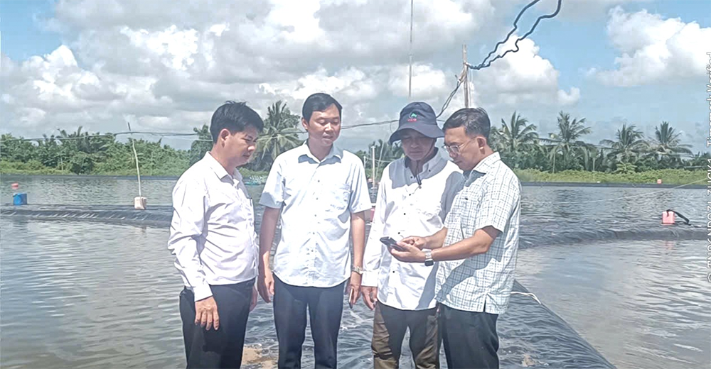 Khảo sát nuôi tôm thẻ siêu thâm canh, ứng dụng công nghệ cao