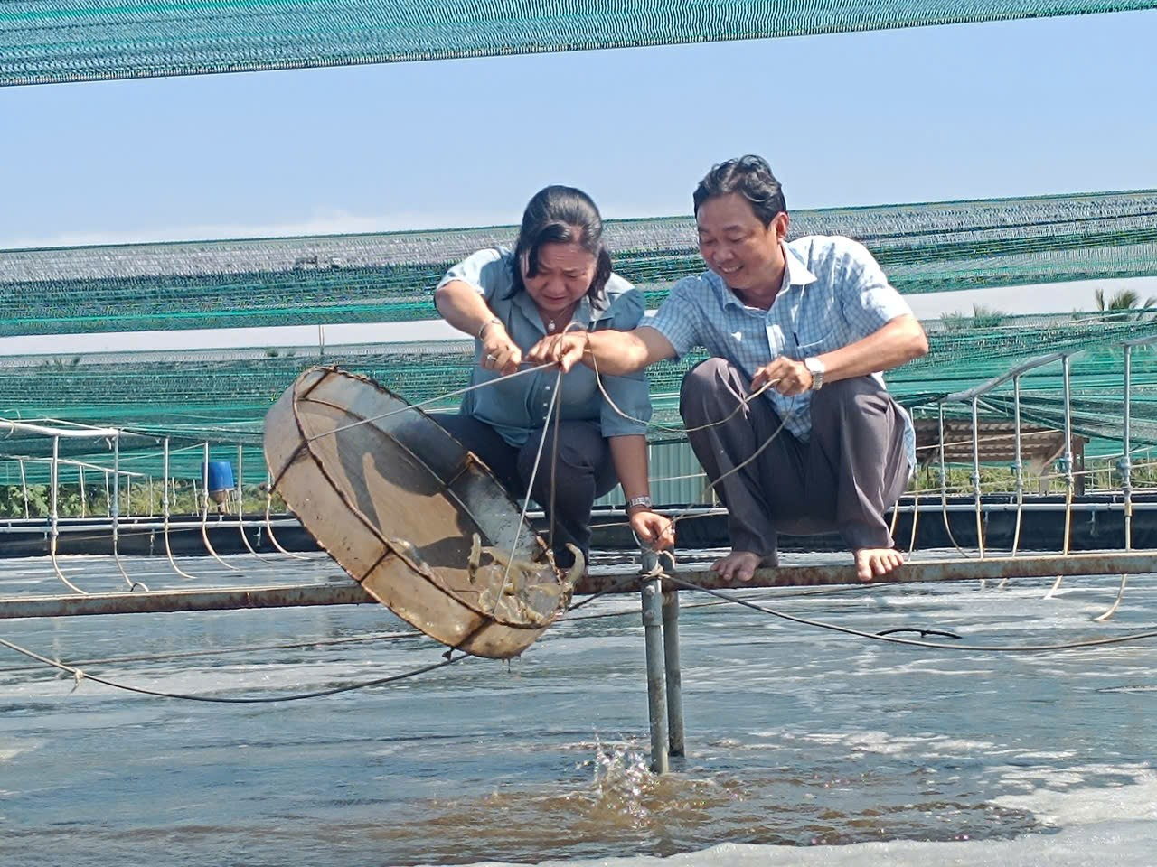 Khảo sát nuôi tôm thẻ siêu thâm canh, ứng dụng công nghệ cao