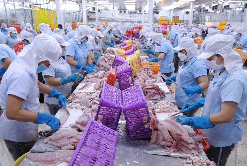 Kim ngạch xuất khẩu của Việt Nam sang thị trường các nước tham gia RCEP năm 2024 đạt 155,44 tỷ USD. Ảnh: Khánh Dương